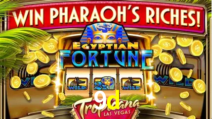 Descubra o Mundo do Cassino Online com 9d